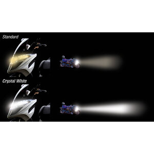 Lampadine H11 Led Headlight Conversion Kit V4 - BRYTE