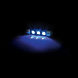 Lampadina a siluro a led XP - Led Feston SV8,5 Canbus - D-GEAR