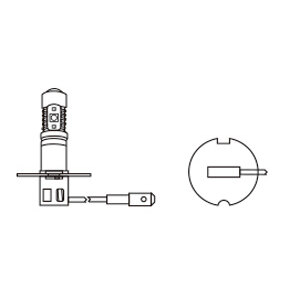 Lampadine Altri Attacchi Cree Led Fog and Day Light - D-GEAR