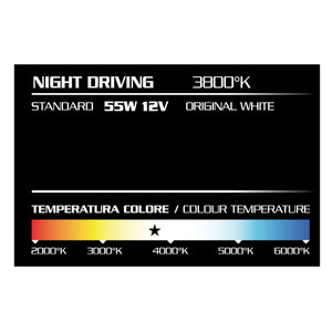 Lampadine H1 Night Driving - D-GEAR