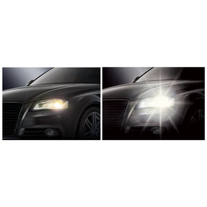 Lampadine H1 Night Driving - D-GEAR