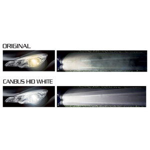 Lampadine H4 H4 Bixenon - HID Replacement bulb - D-GEAR