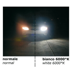 Lampadine Altri Attacchi H13 - Spare bulb 6000k - D-GEAR