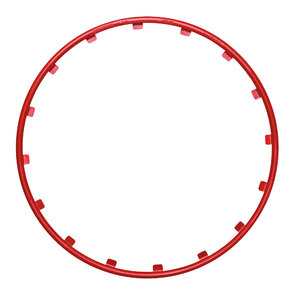 Protezione cerchi in lega Rim Ringz