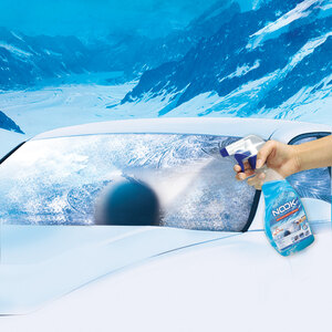 Deghiacciante Windshield deicer - NOOK NOOK