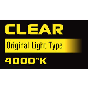 Lampadina alogena Clear H1 - ROAD DUEL