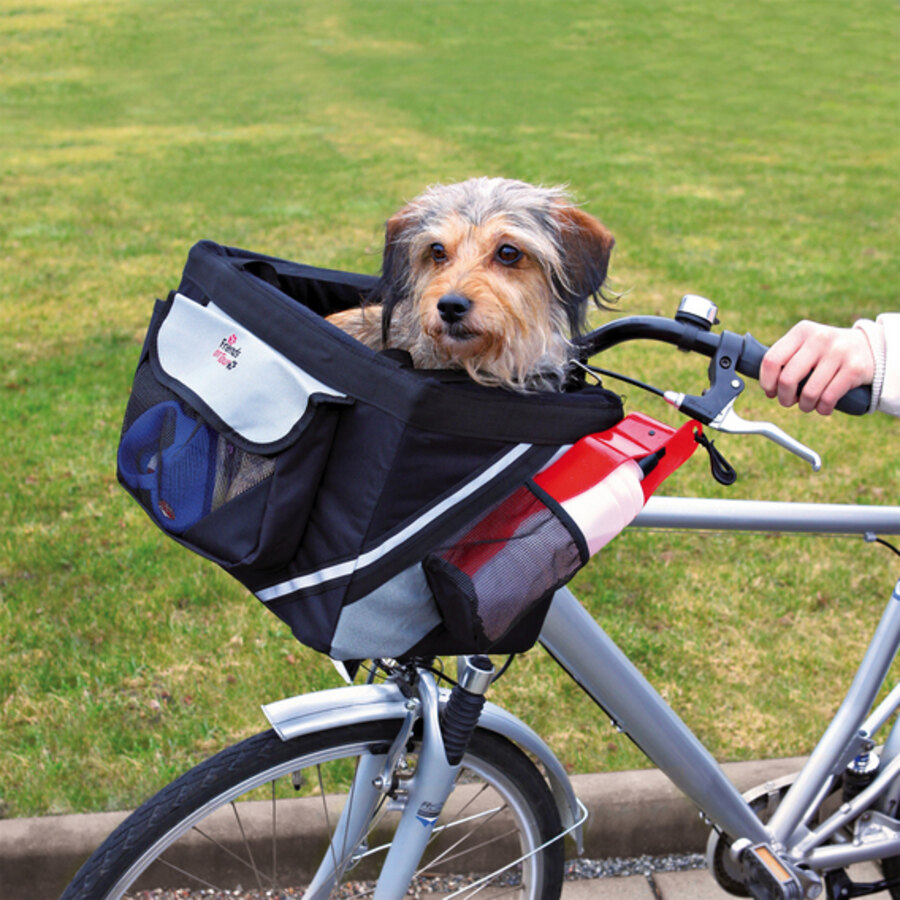 come portare un cane grande in bicicletta