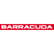 Barracuda