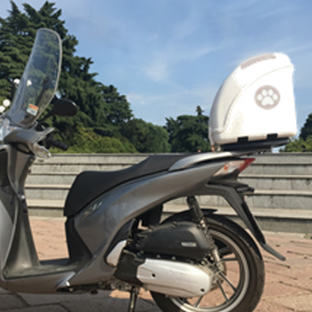 Cestini, trasportini e cuscini