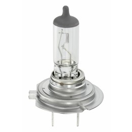 Lampadine H7 Original Line OSRAM