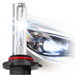Lampadine Altri Attacchi HB5 - Spare bulb 6000k D-GEAR