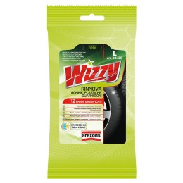 Cruscotto pulitore Wizzy Rinnova gomme, plastiche e guarnizioni AREXONS