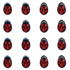 Emblema 3D Coccinella 3D GAT