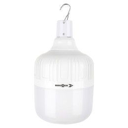 Lampada Globe Led BRUNNER