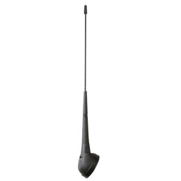 AM-FM Classica Tetto PHONOCAR