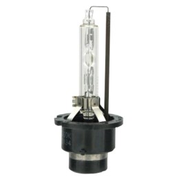 Lampadine D2S D2S LAMPA