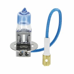 Lampadine Altri Attacchi Xenon Plus LAMPA
