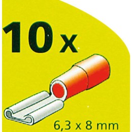 Capicorda Piatti femmina LAMPA